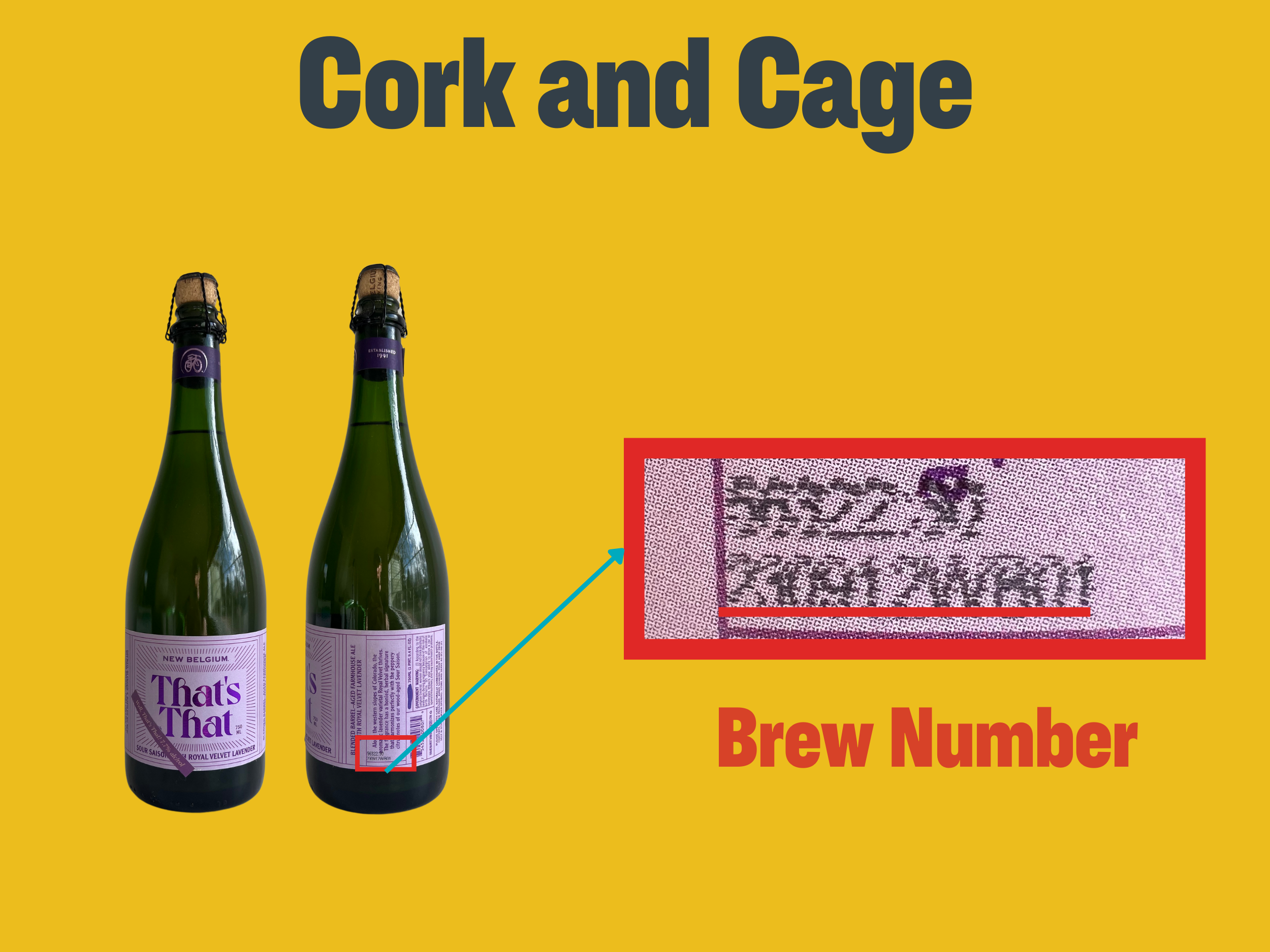 Cork and cage beer bottle with batch and packaging infographic