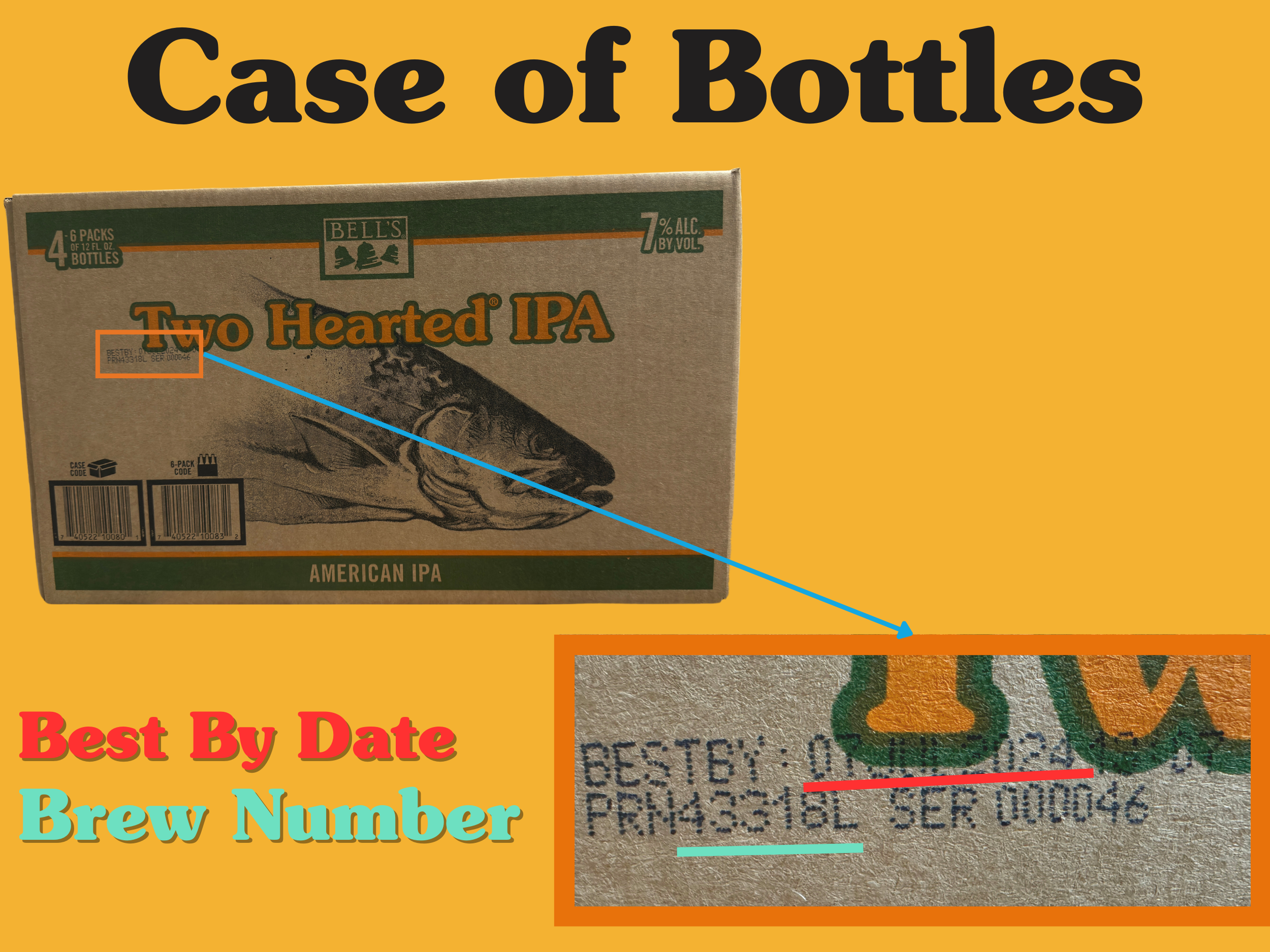 Case of 24 beer bottles with batch and packaging infographic