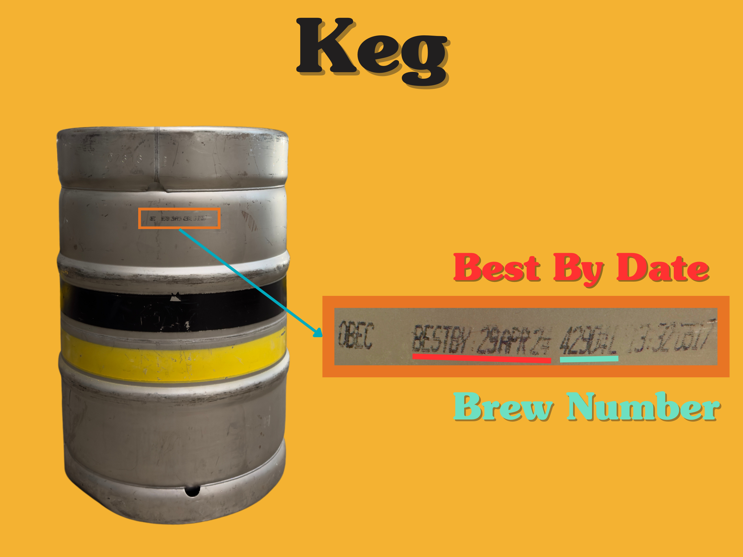 Half barrel keg with batch and packaging infographic